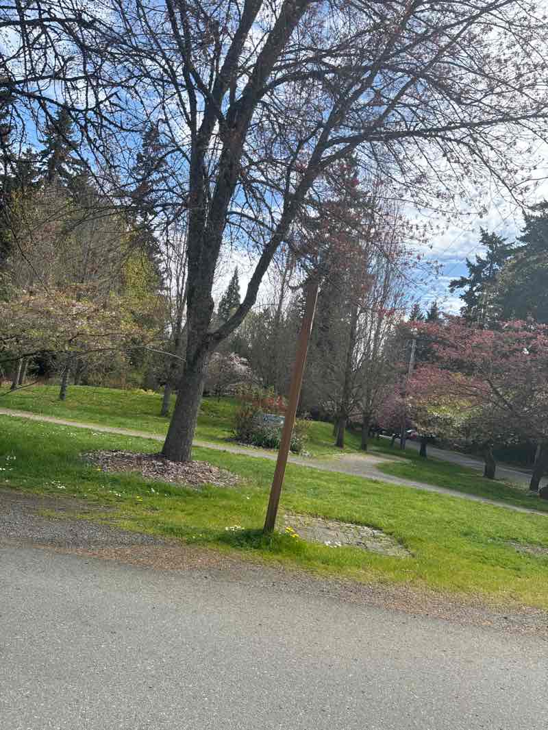 walking near me in Rotary Park in spring