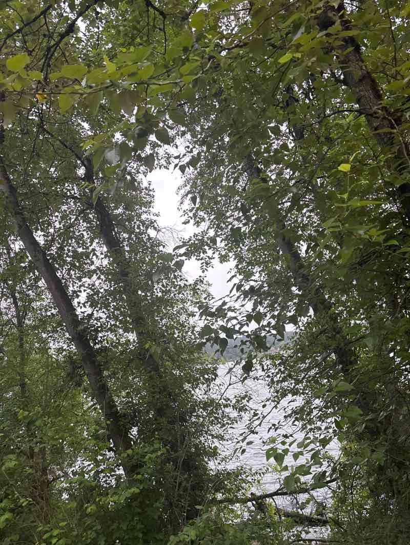walking near me in Sammamish Landing in summer