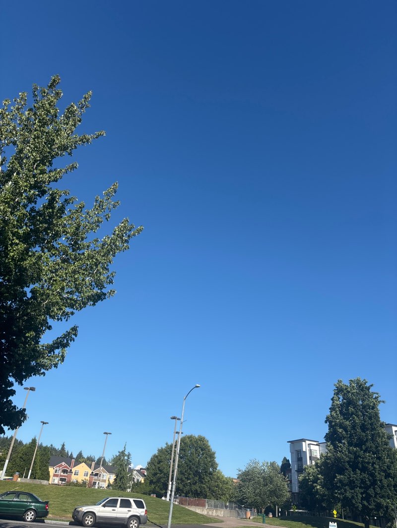 walking near me in The Edge Skate Park in summer