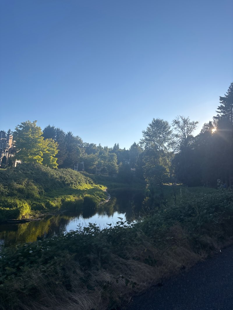 walking near me in Dudley Carter Park in summer