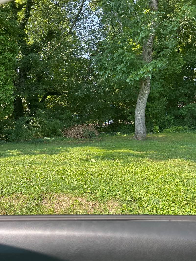 walking near me in Rolling Park in summer