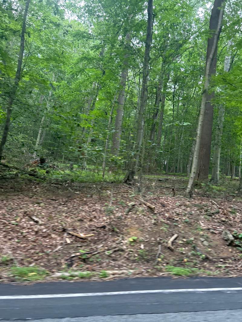 walking near me in Ridley Creek State Park in summer