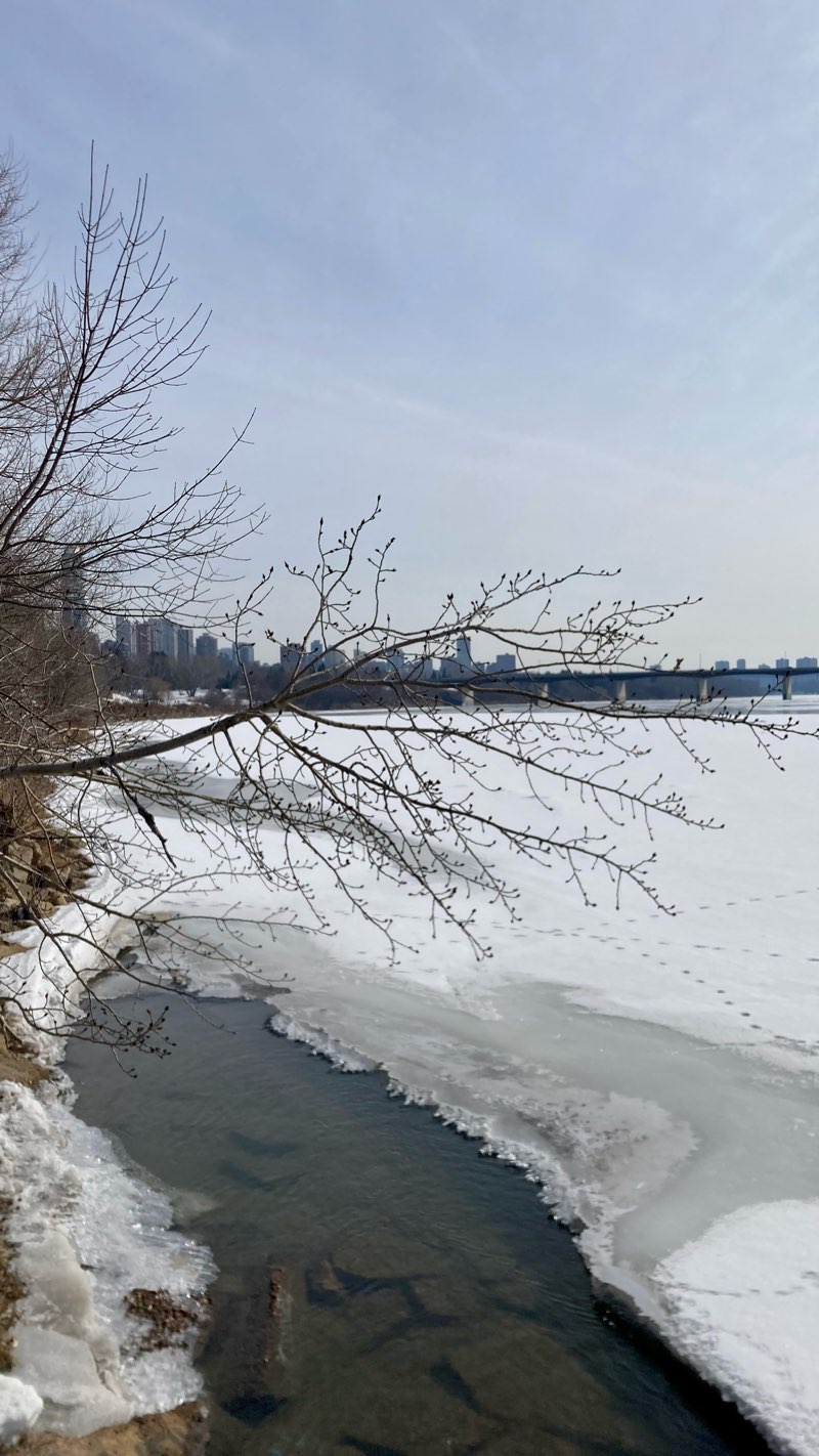 walking near me in Government House Park in winter