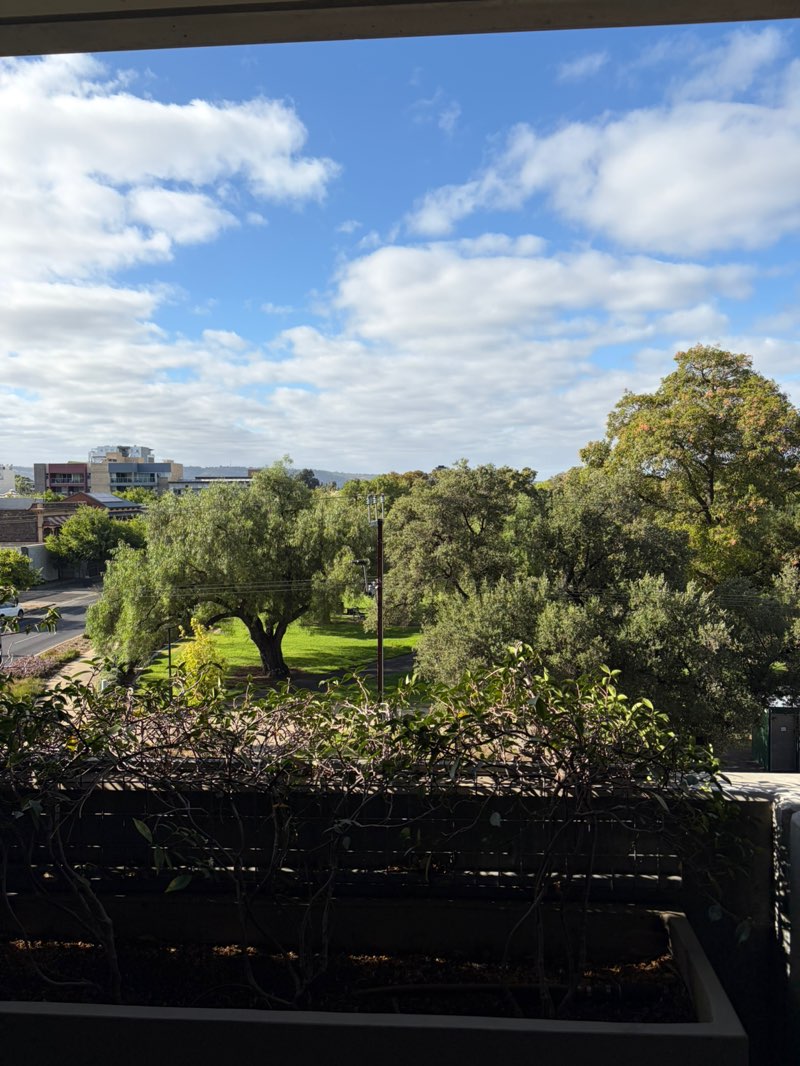 walking near me in Whitmore Square in summer