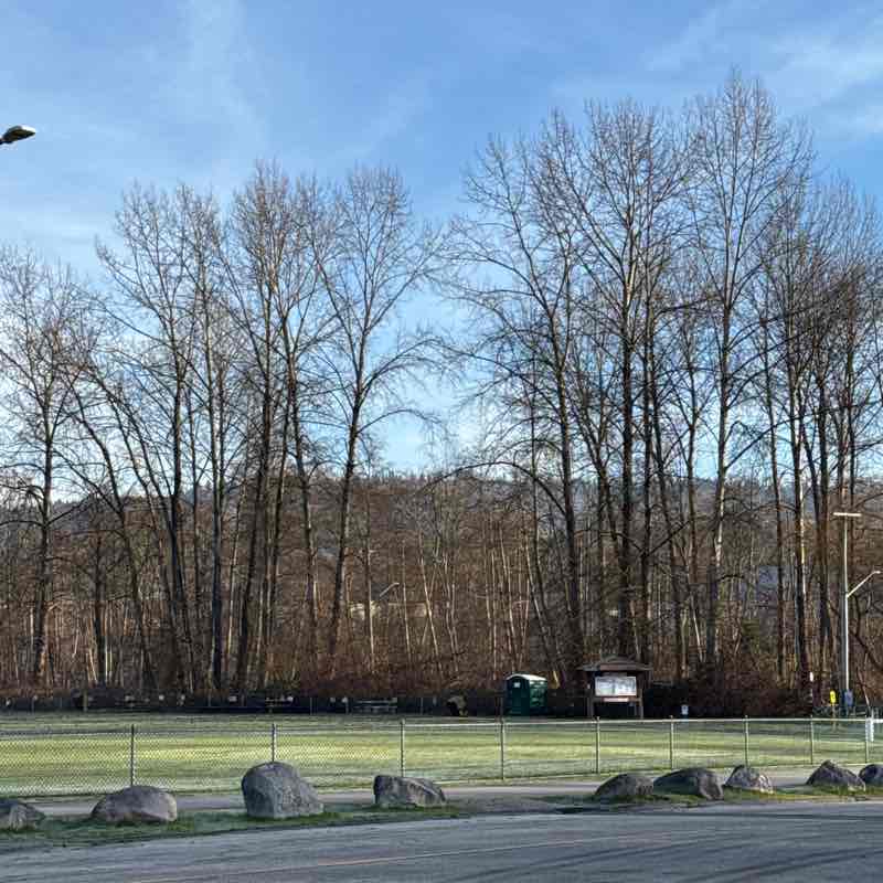 Smiley 🇨🇦 post 1