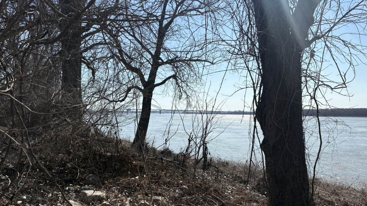 walking near me in Mississippi Greenbelt Park in spring