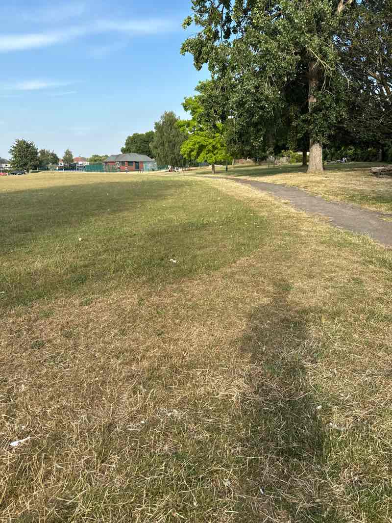walking near me in Wombwell Park in summer