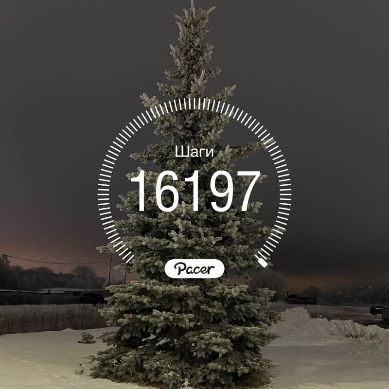 Джамиля post 1