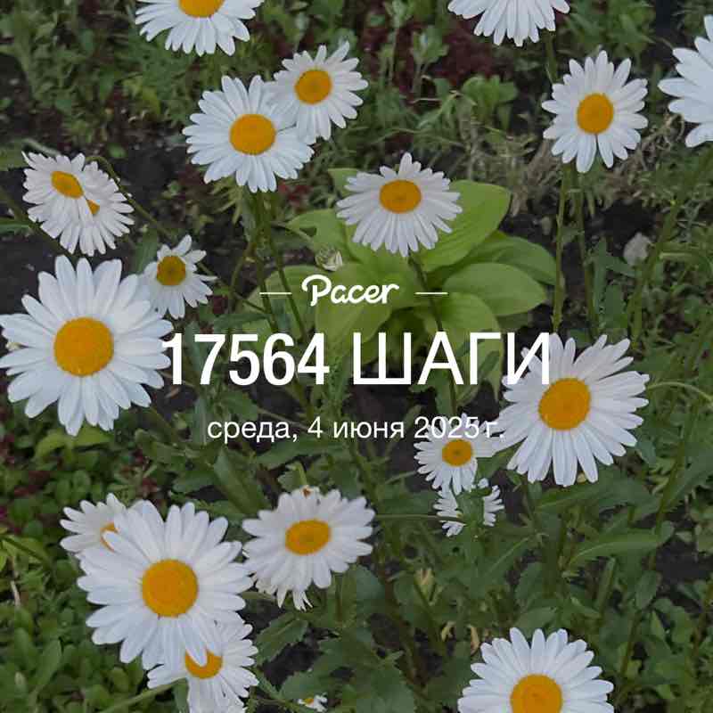 Джамиля post 1