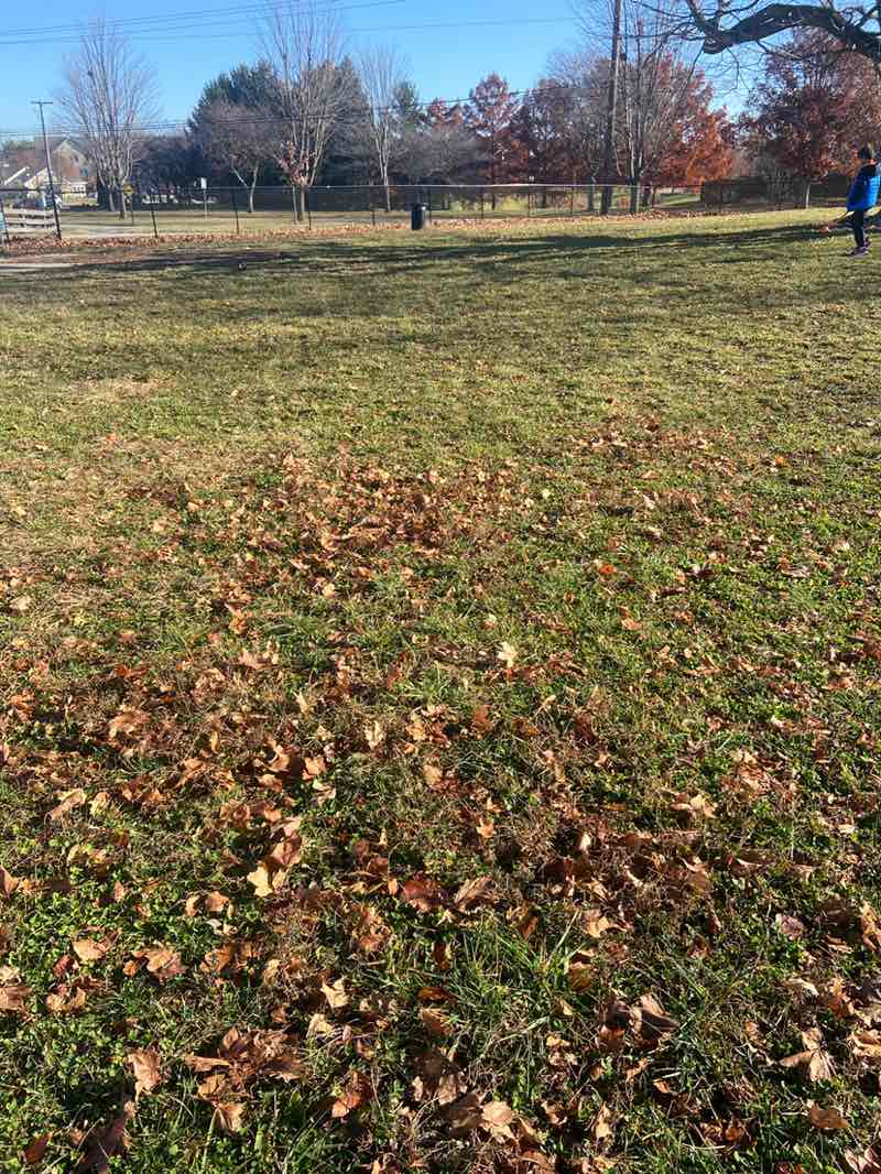 walking near me in Cumberland Park in autumn
