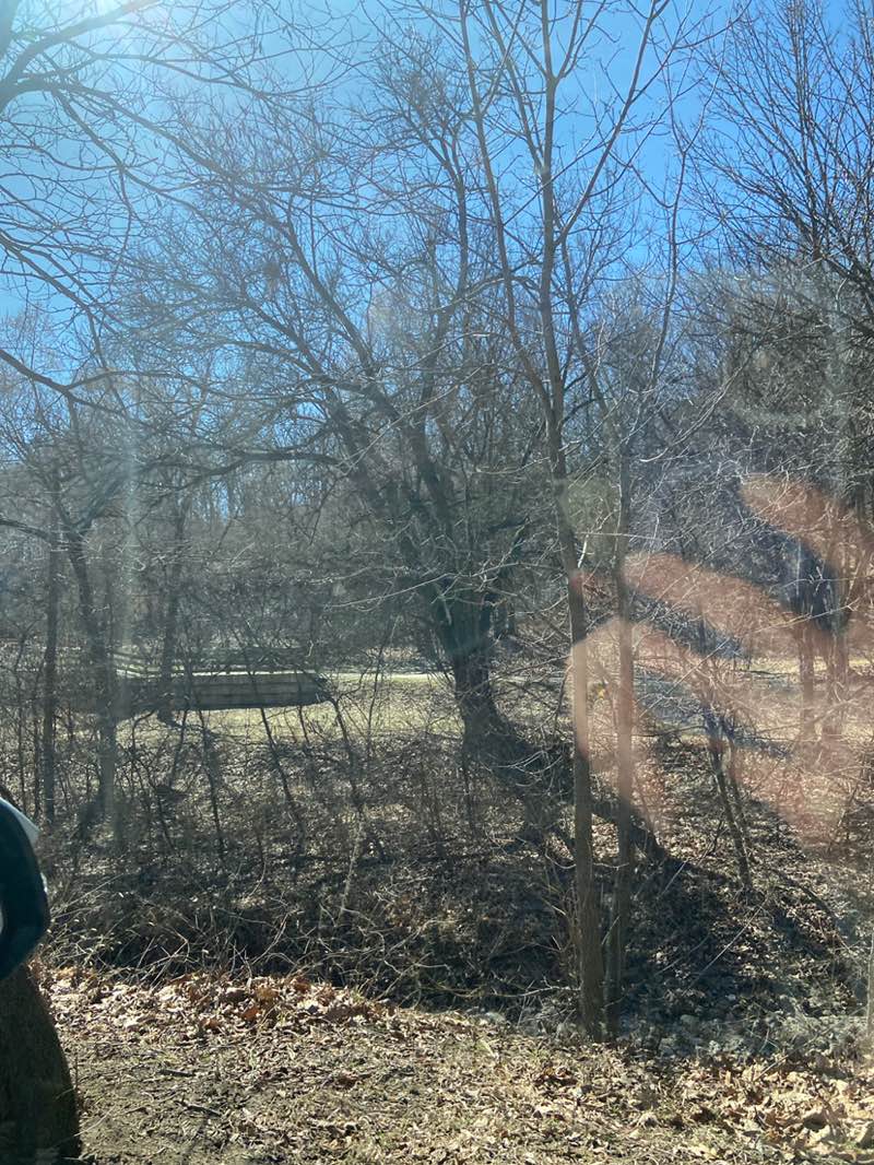 walking near me in Happy Hollow Park in spring