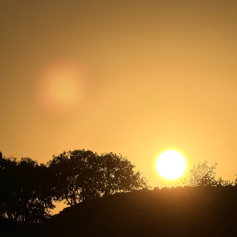 A.B. 🏌🏻‍♂️🥇 post 2