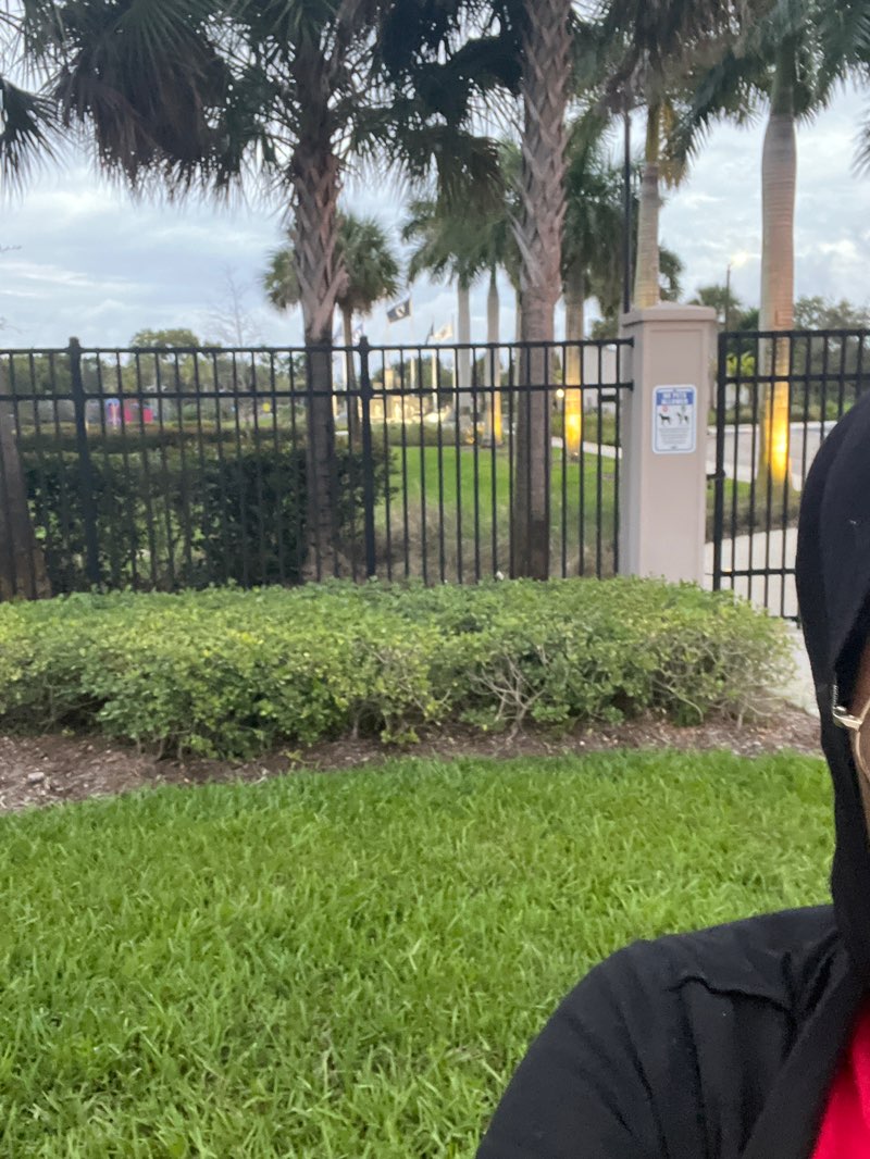 walking near me in Veterans Park in autumn