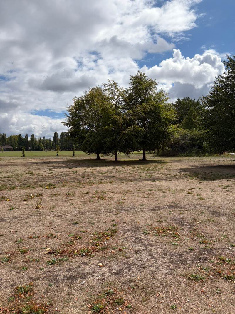 walking near me in Christchurch Meadows in summer