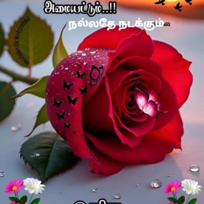 Mohali Masters thangaraju.kk post image