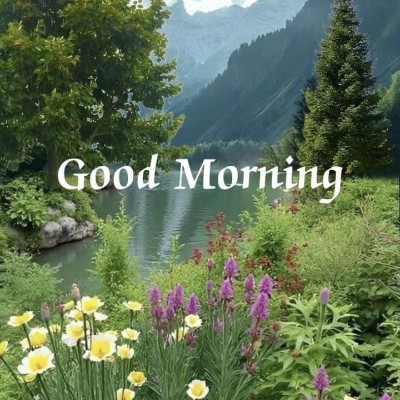 July Steps Challenge thangaraju.kk post image