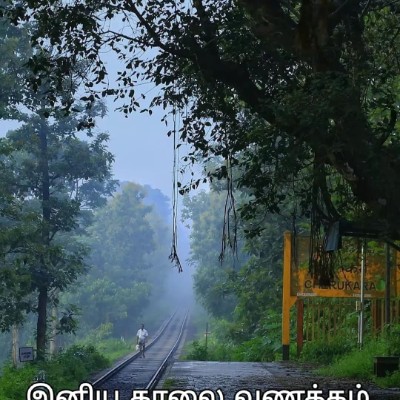 July Steps Challenge thangaraju.kk post image
