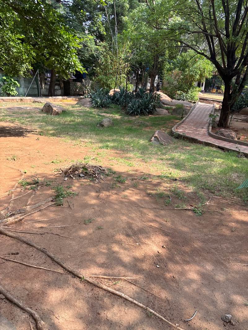 walking near me in NTR Park in summer