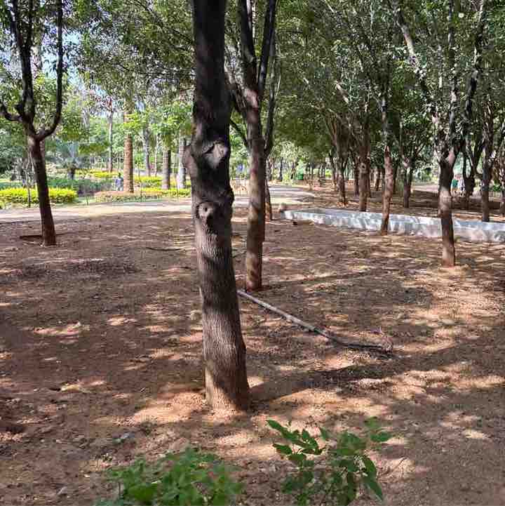 Devineni 🇮🇳🇮🇳జై హింద్151167 post 1