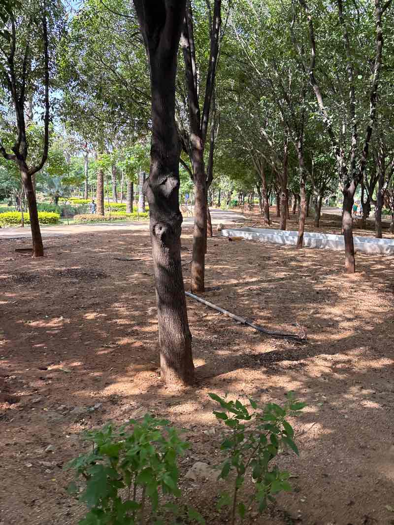 walking near me in Krishnakanth Park in summer