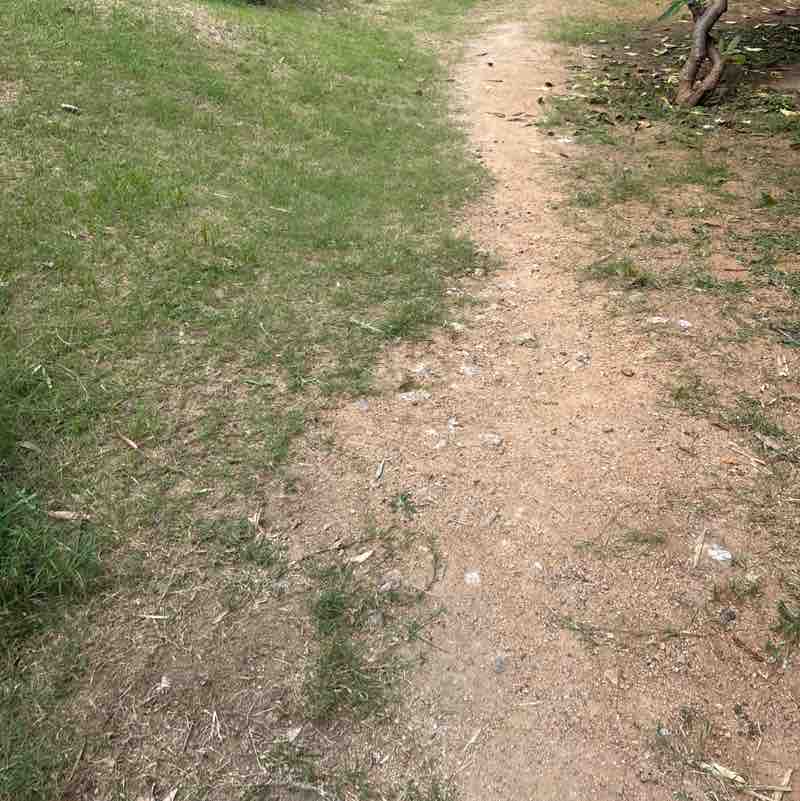 Devineni 🇮🇳🇮🇳జై హింద్151167 post 3