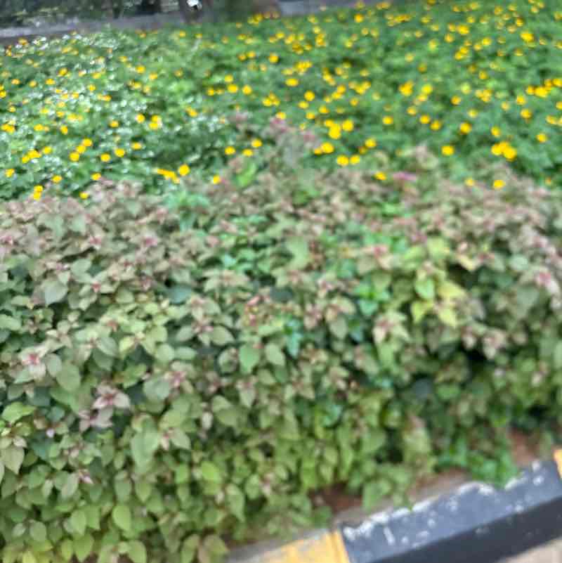 Devineni 🇮🇳🇮🇳జై హింద్151167 post 1