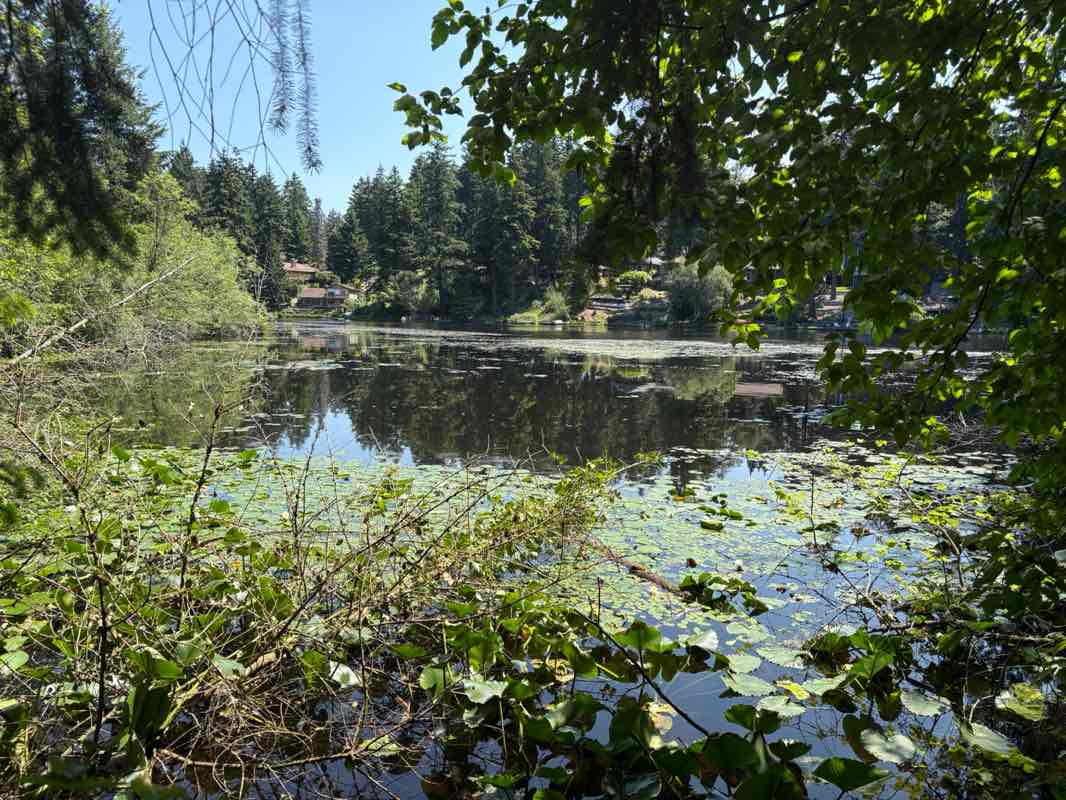 walking near me in Lake Killarney Park in summer