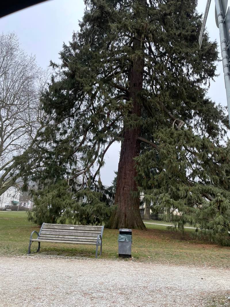 walking near me in Hubert-Fassbender-Anlage in winter