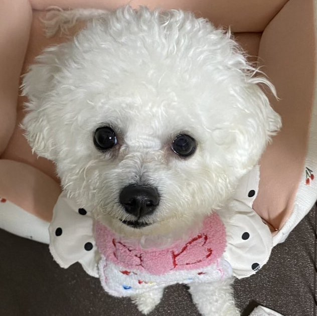 masahito 🍺🍻🍻🍻