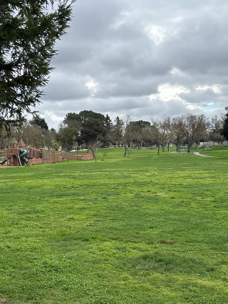 walking near me in Community Park in winter