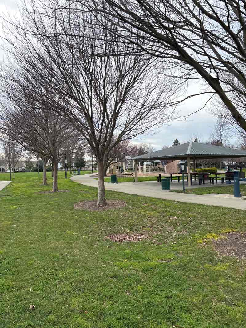 walking near me in Veterans Park in winter