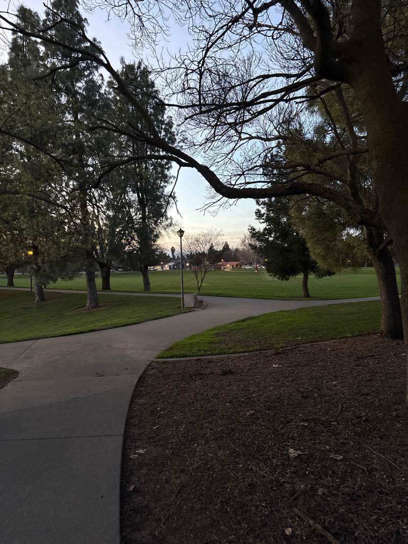 walking near me in Northwest Park in winter