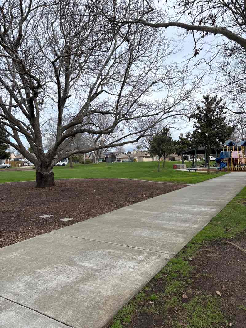 walking near me in Patwin Park in winter