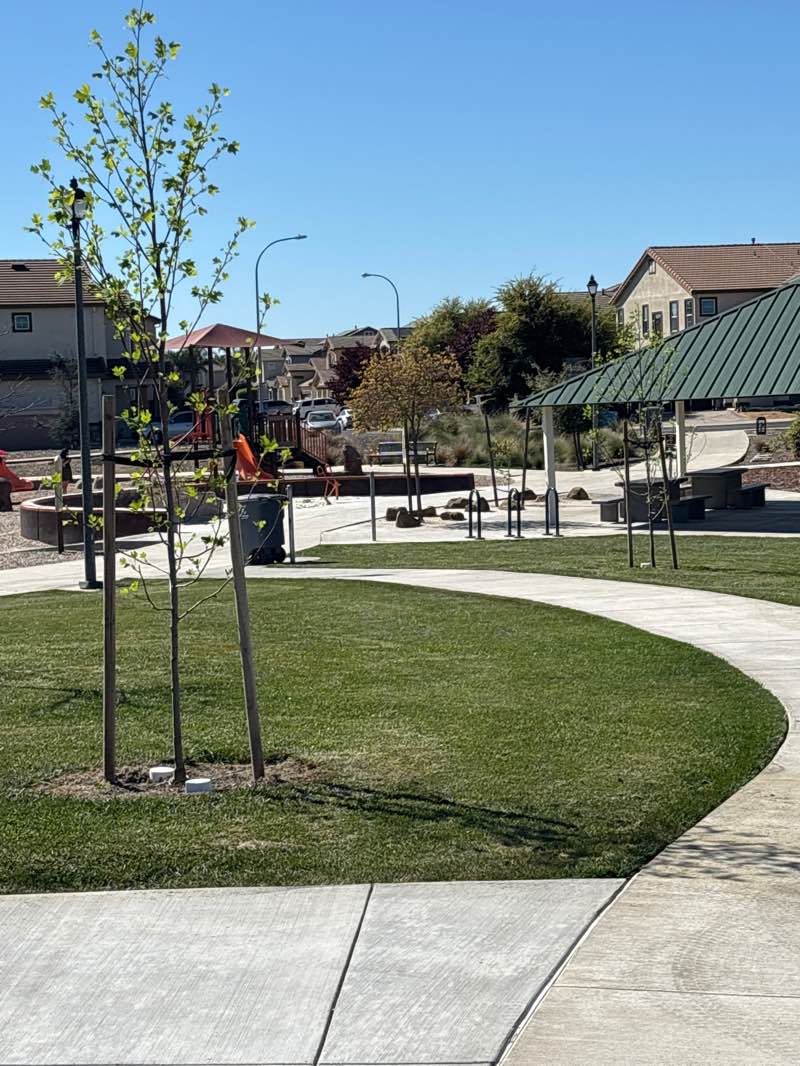 walking near me in Corderos Park in spring