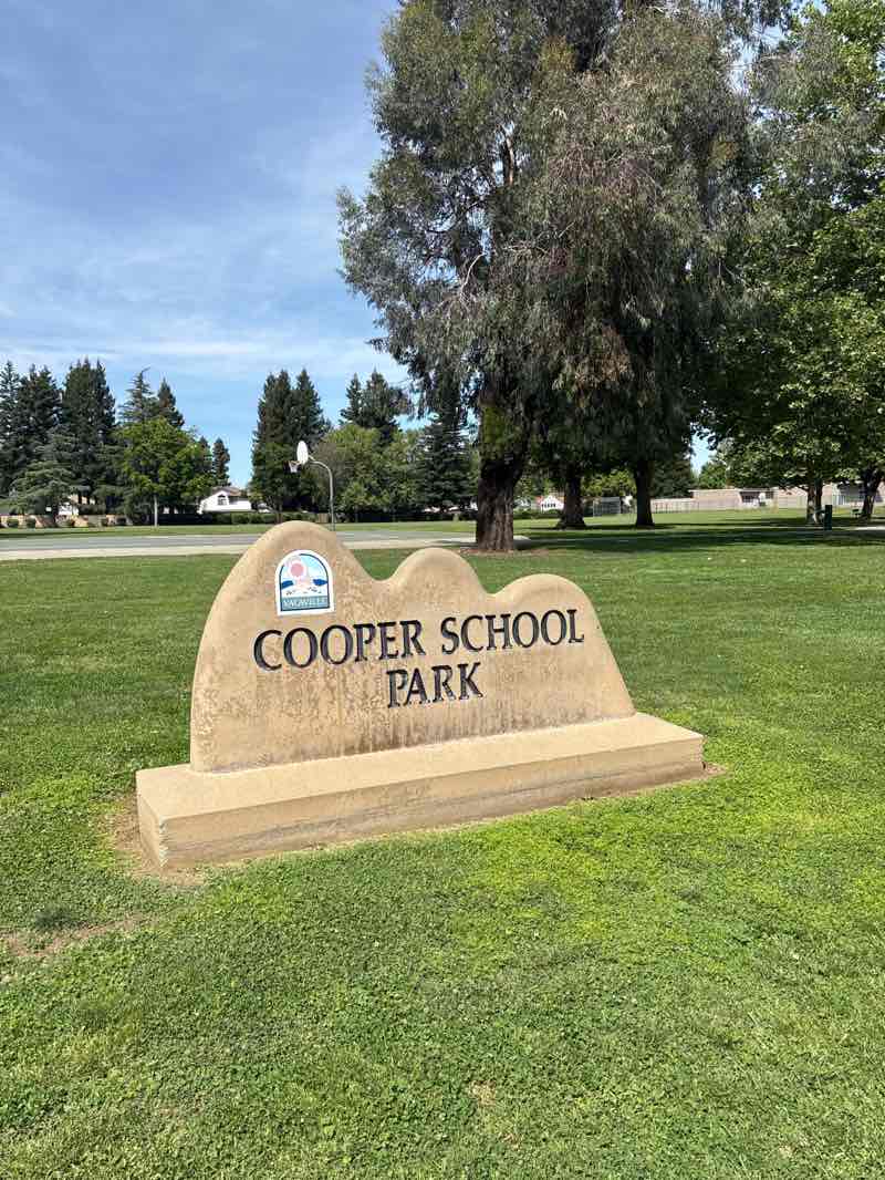 walking near me in Cooper School Park in spring