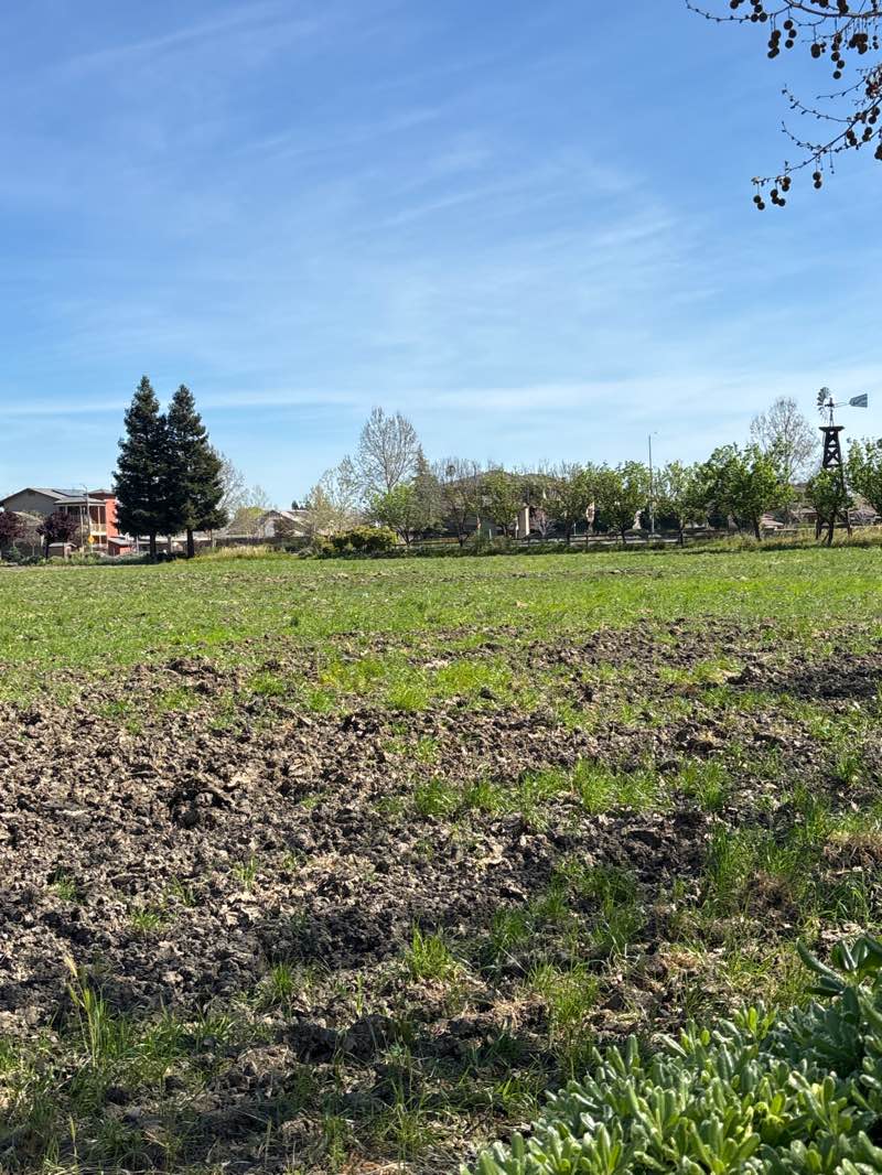 walking near me in Valley Glen in spring