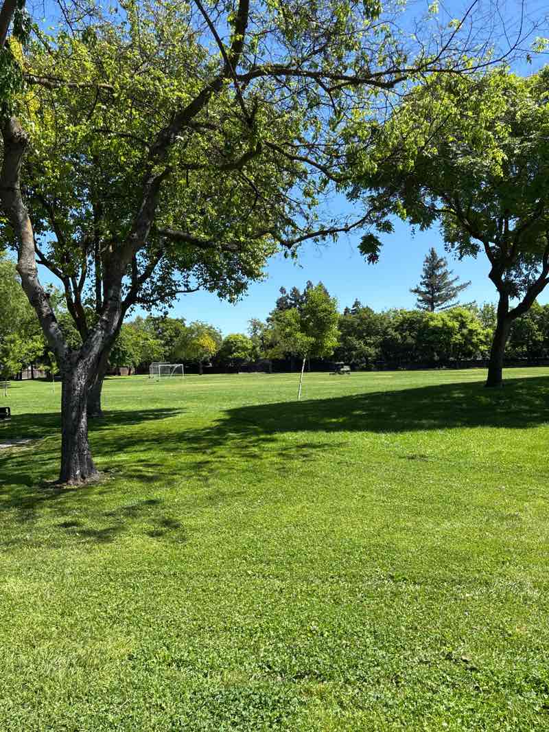 walking near me in Westwood Park in spring