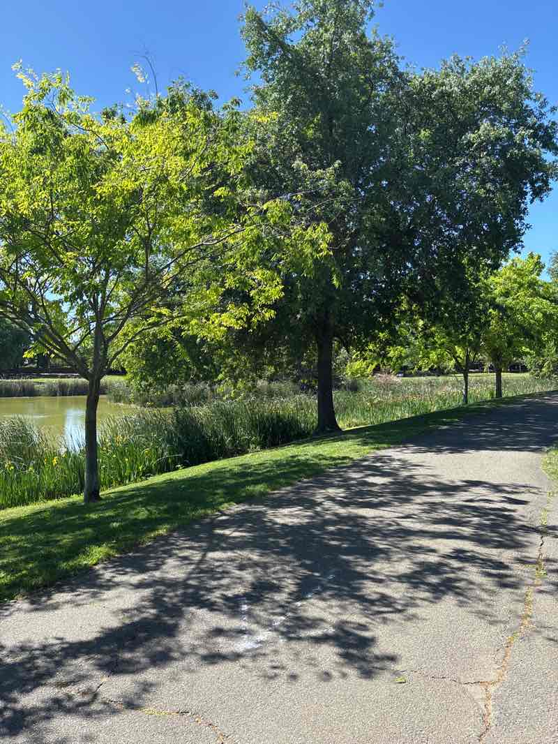 walking near me in Northstar Park in spring