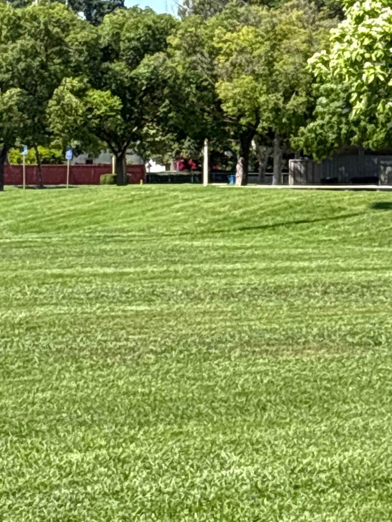 walking near me in Hall Memorial Park in spring