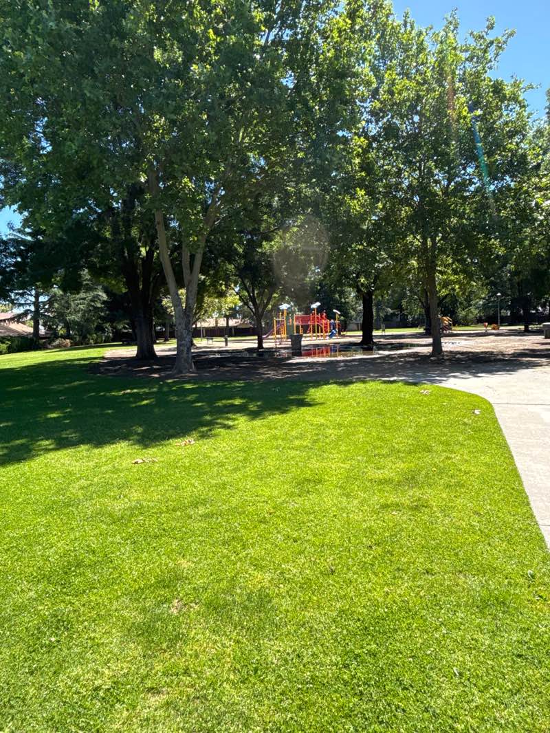 walking near me in Arbor Oaks Park in spring