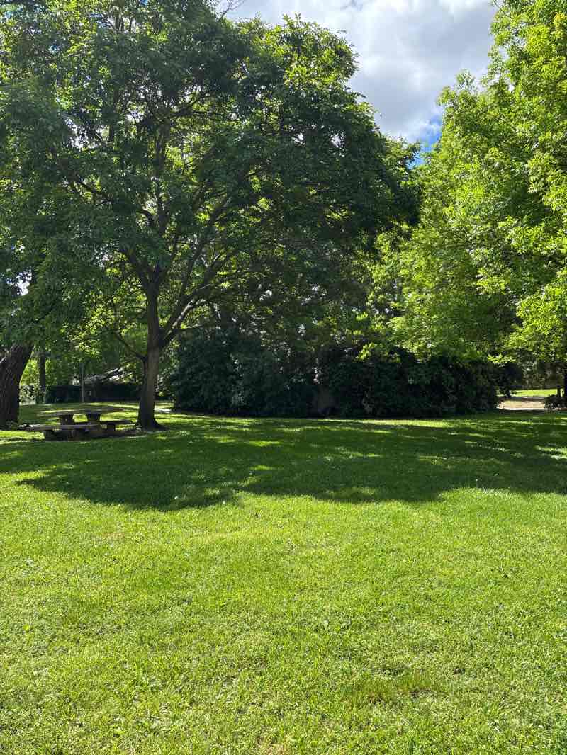 walking near me in Covell Park in spring