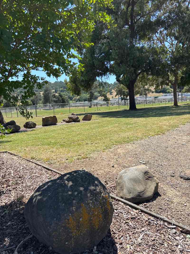 walking near me in William Keating Park in summer