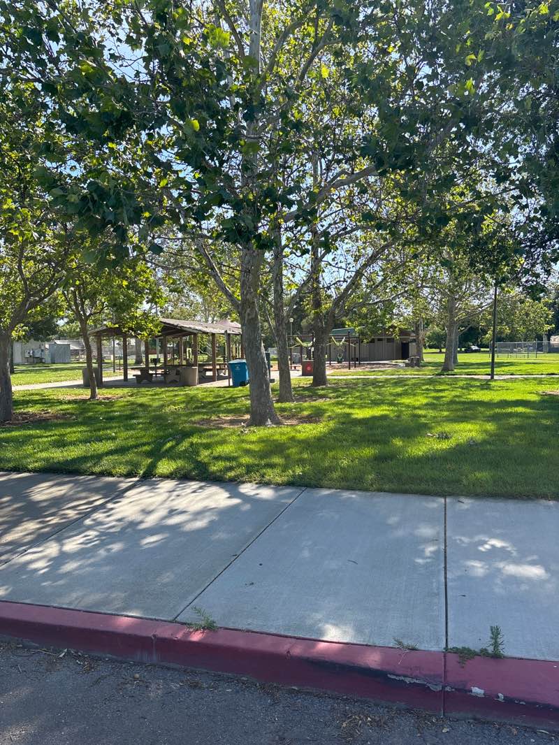walking near me in Hall Memorial Park in summer
