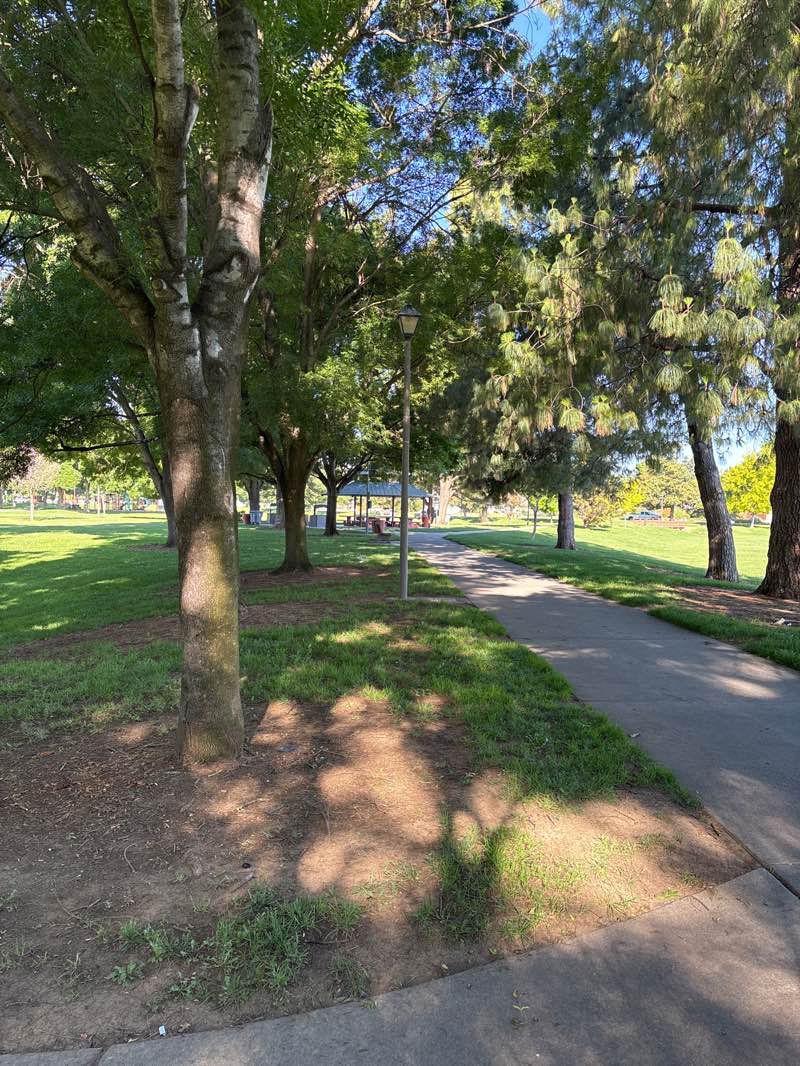 walking near me in Northwest Park in spring