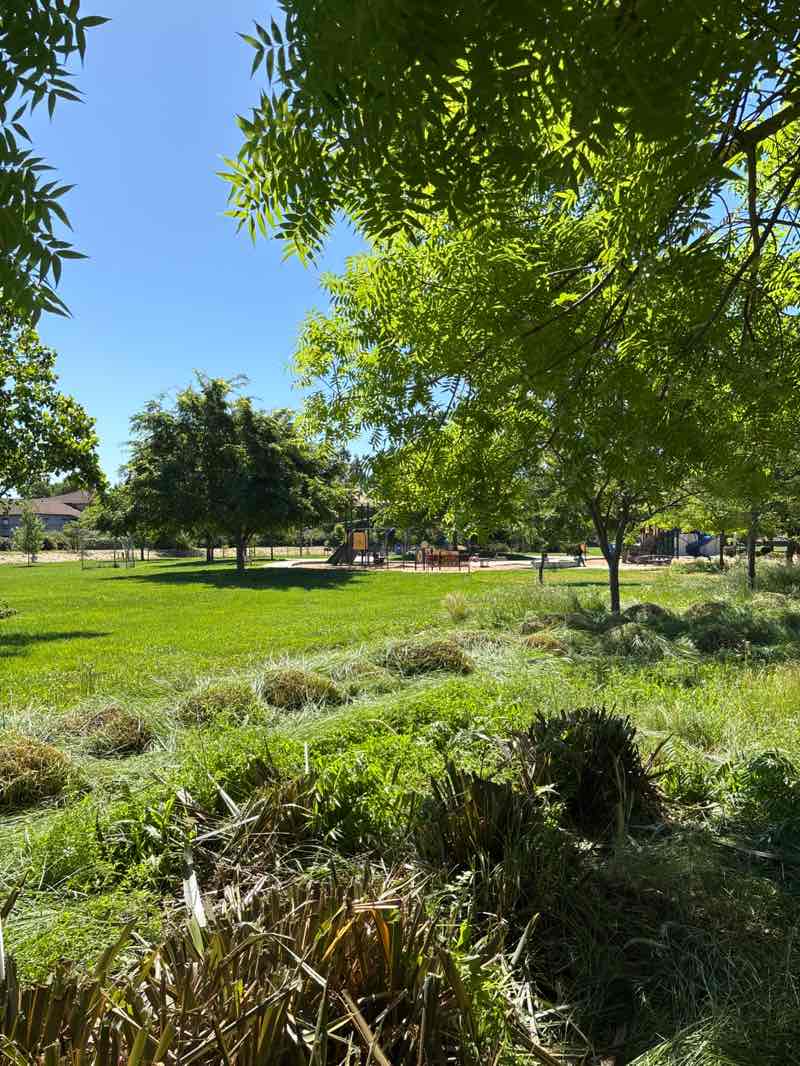 walking near me in John Barravetto Park in spring