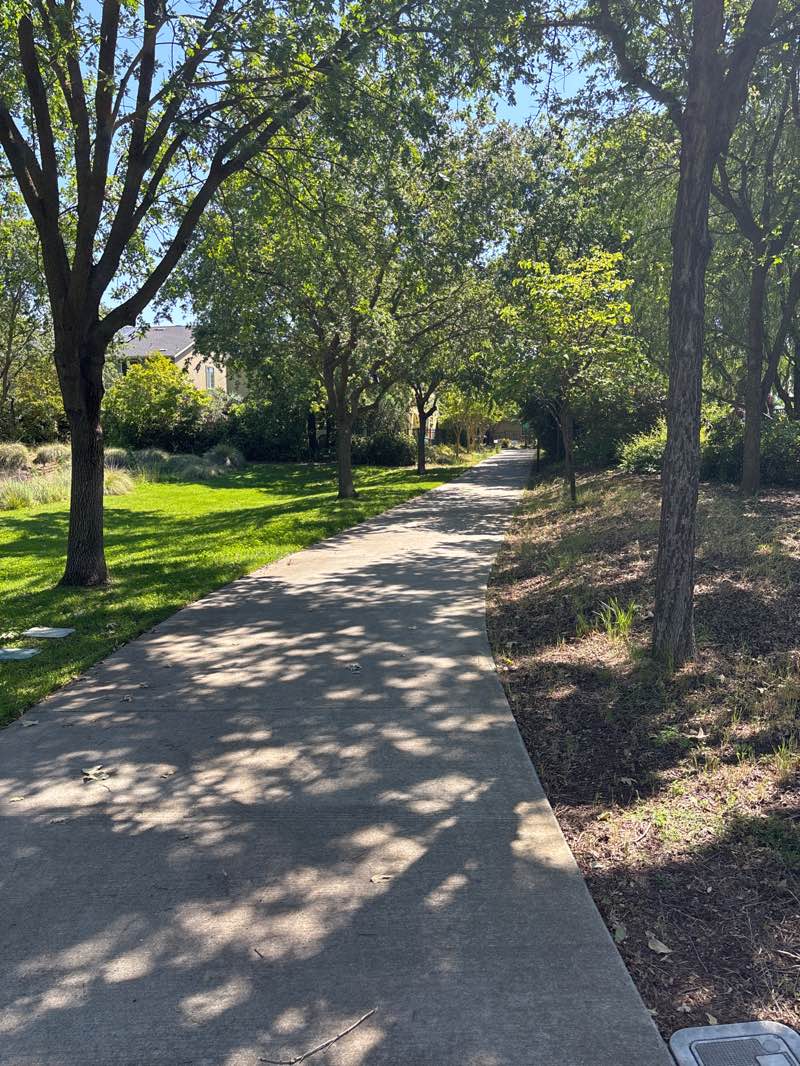 walking near me in Willowbank Park in spring