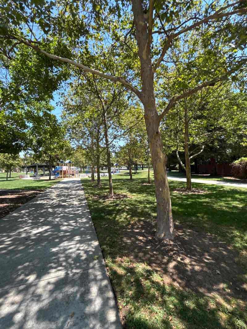 walking near me in Patwin Park in summer