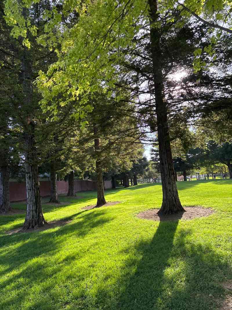 walking near me in Patwin Park in summer