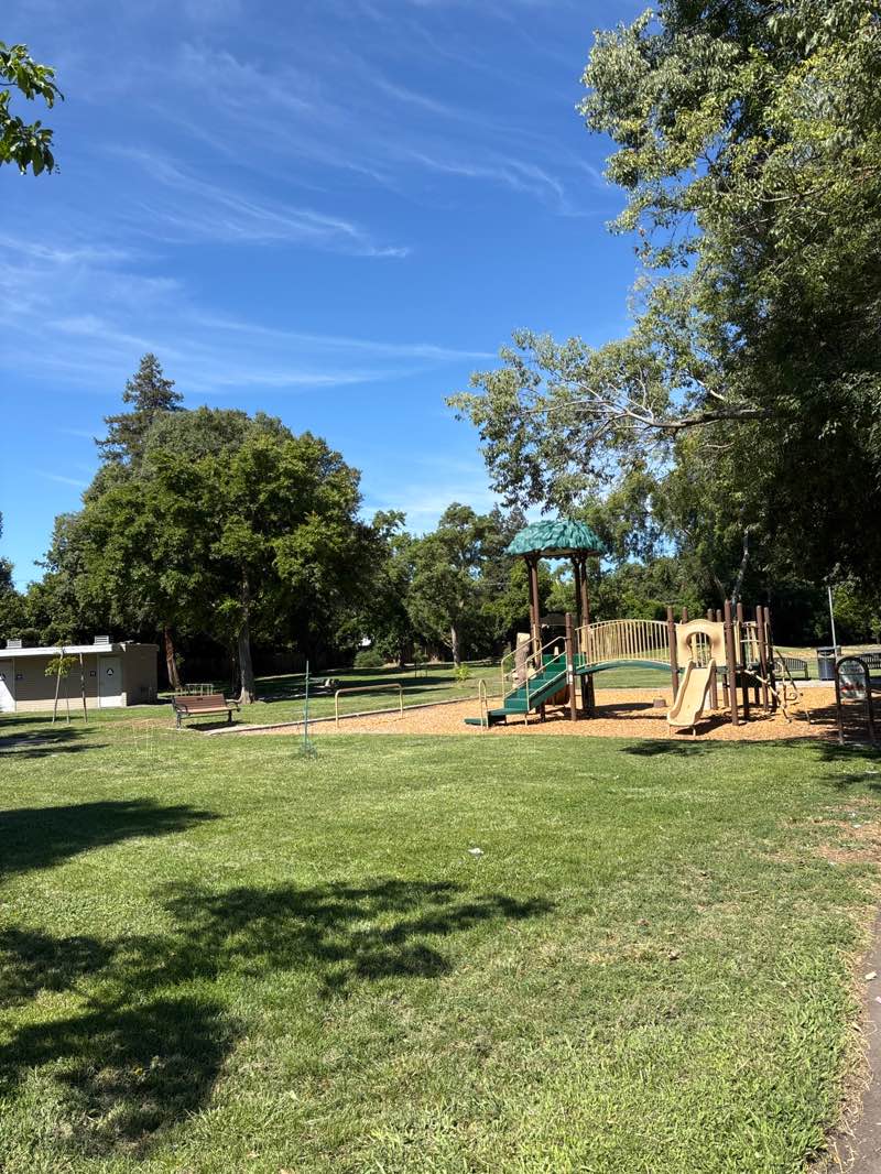 walking near me in Redwood Park in summer