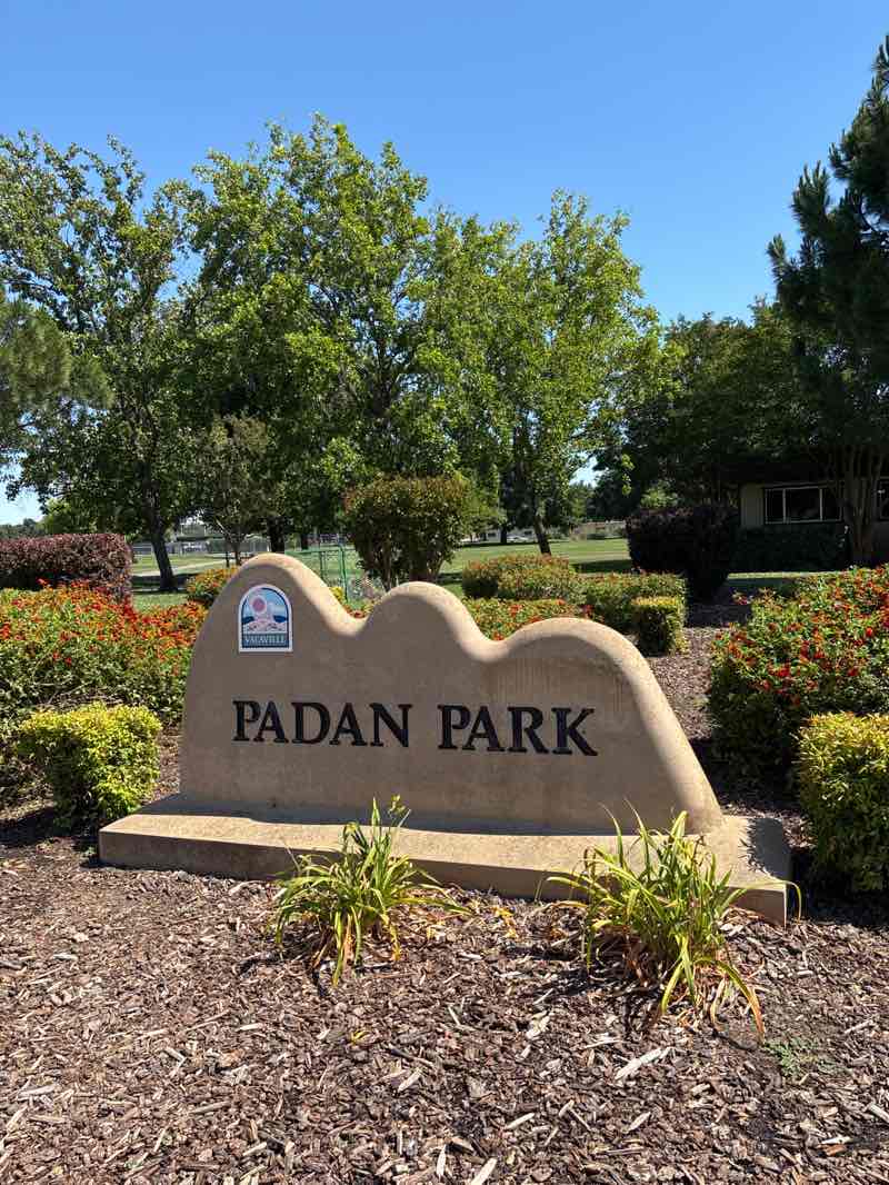 walking near me in Padan Park in summer